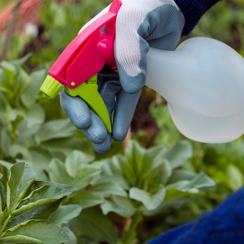 Dyes for Pesticide